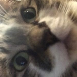 Meet your Posher, Amber